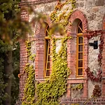 Tinyhouse Mit Fasssauna, Alleinlage Direkt Am Naturteich, Grosse Terrasse - Naehe Saechsische Schweiz Und Dresden - Bestprice Σπίτι διακοπών *