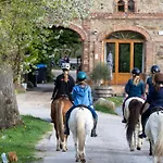 Tinyhouse Mit Fasssauna, Alleinlage Direkt Am Naturteich, Grosse Terrasse - Naehe Saechsische Schweiz Und Dresden - Bestprice Σπίτι διακοπών *